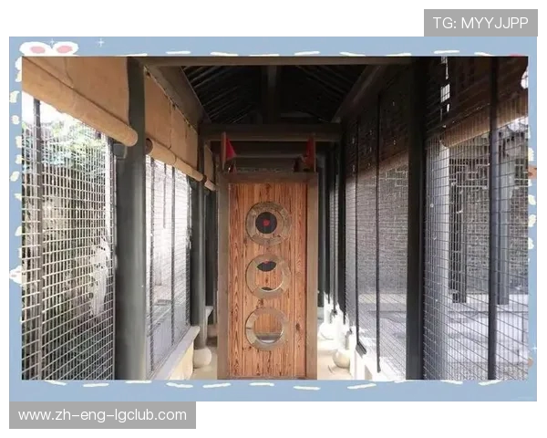 状元狼足球公仔点燃球迷热情的限量收藏传奇背后故事全景大揭秘录